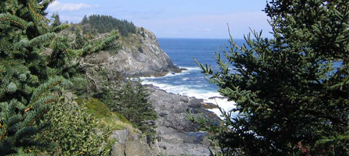 L.L.Bean Outdoor Discovery Schools. Bird watching on Monhegan Island, Maine. A view of Monhegan's scenic Black Head.
