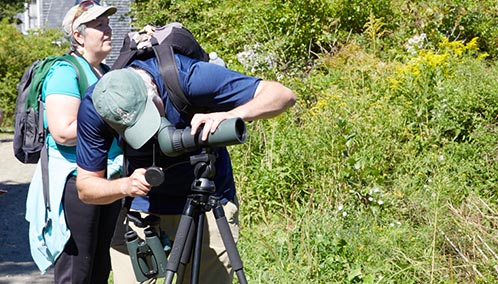 Inspire Your Inner Bird Watcher. Join renowned birder Dr. Jeff Wells for exclusive bird-watching tours of Maine's coast — or go birding by kayak — for an amazing birding tour like no other.
