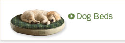 Dog Beds