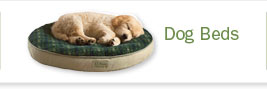 Dog Beds