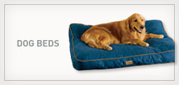 Dog Beds
