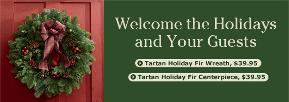 Tartan Holiday Fir Wreath, $39.95 - Tartan Holiday Fir Centerpiece, $39.95