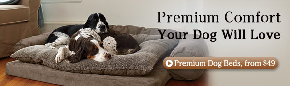 Premium Comfort Your Dog Will Love