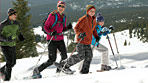 Snowshoe Outings