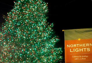 Northern Lights