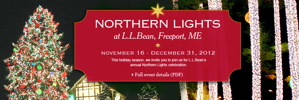 Full event details Musical Light Display