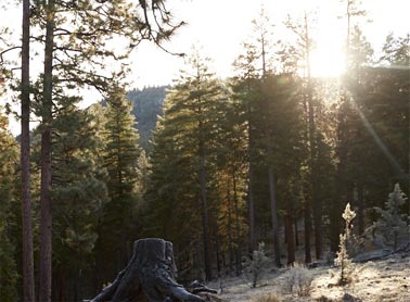 L.L.Bean Guide to Outdoor Photography