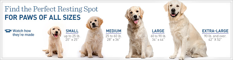 Find the Perfect Resting Spot for Paws of All Sizes.