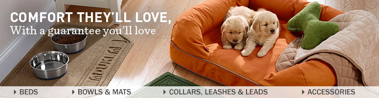 Image Is Loading Ll Bean Twin Solid Maple Platform Bed With Ll