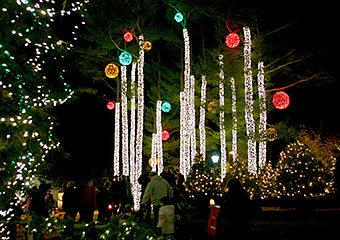 Ll Bean Christmas Tree Lighting 2022 Northern Lights