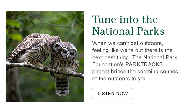 Tune into the National Parks. When we can’t get outdoors, feeling like we’re out there is the next best thing. The National Park Foundation’s PARKTRACKS experience brings the soothing sounds of the outdoors to you.