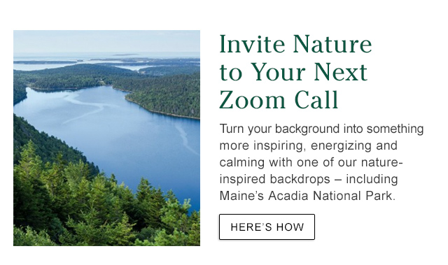 Invite Nature to your Next Zoom Call. Turn your background into something more inspiring, energizing and calming with one of our nature-inspired backdrops – including Maine’s Acadia National Park.