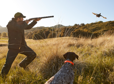 Get Started Upland Hunting