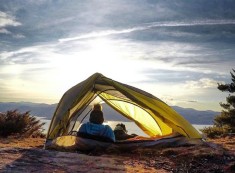 Tips for Camping with Dogs