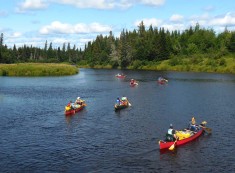 Maine Guides