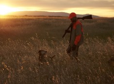 The 4 Tenets of a Responsible Hunter
