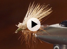 Fly Fishing Tips: How to Tie the Elk Hair Caddis