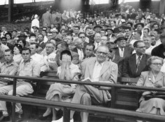 Boston Red Sox Partnership