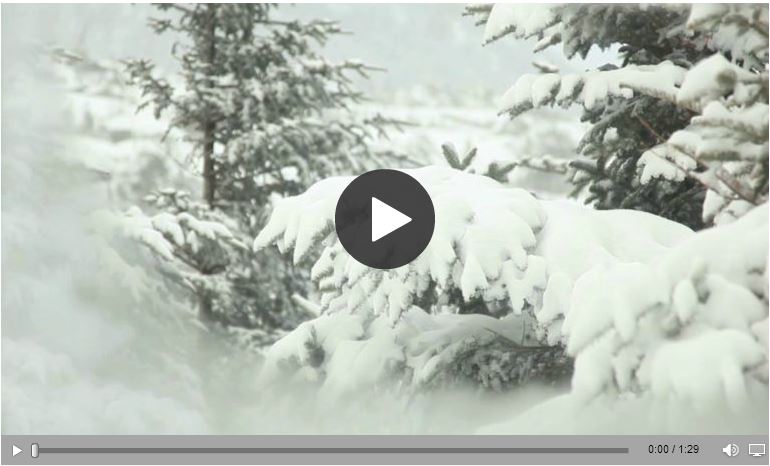 ll bean warmth rating