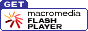 Download Flash