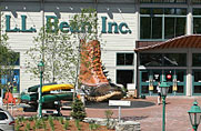 ll bean bike shop